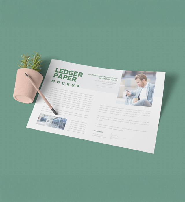 Ledger / Register Books